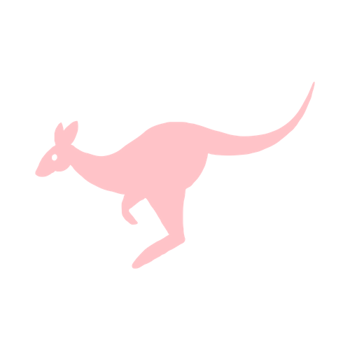 Little Roos Children's Upscale Resale – Little Roo's